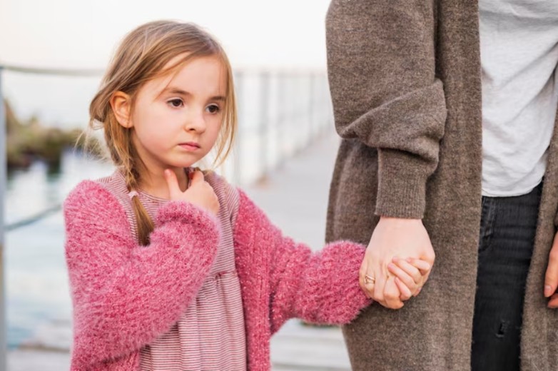 Understanding Malicious Parent Syndrome in USA Child Custody Cases